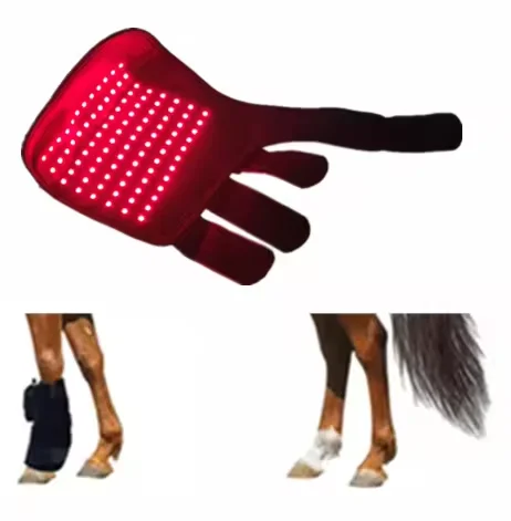 Protège-Jarret de Thérapie par Lumière Rouge LED Horseware