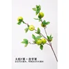 Seven Fruits Green Apple