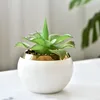 White flower pot (without plants)