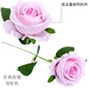 Pearl Rose, Light Pink