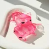 Pink Axolotl [1 piece]