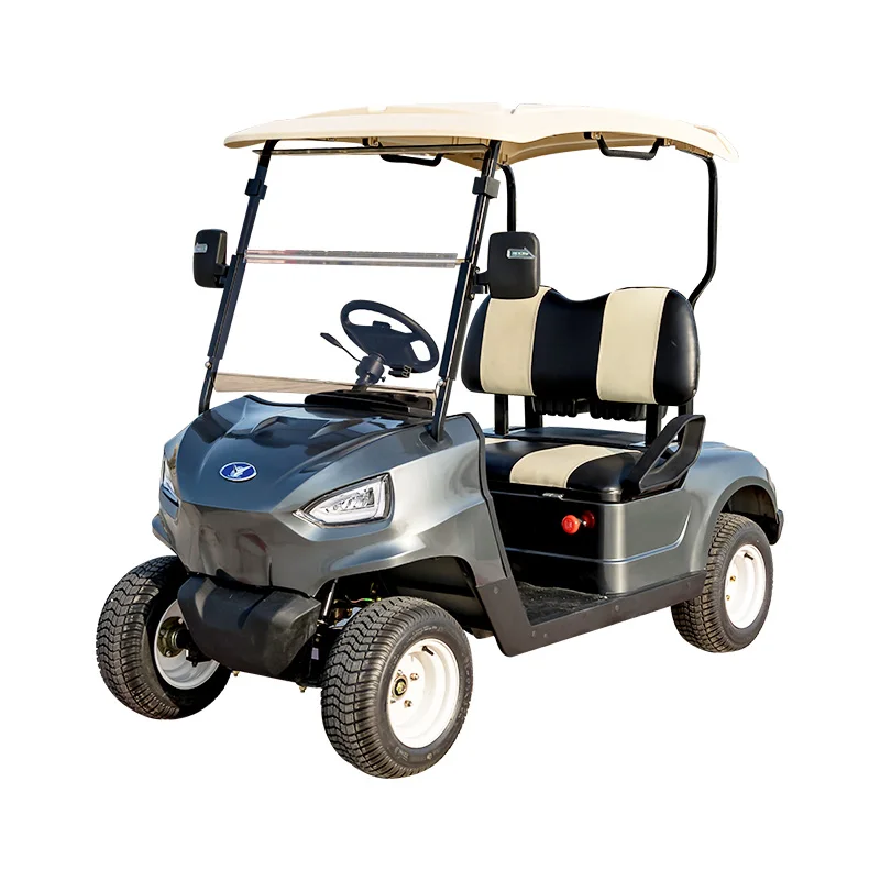 Golf Buggy