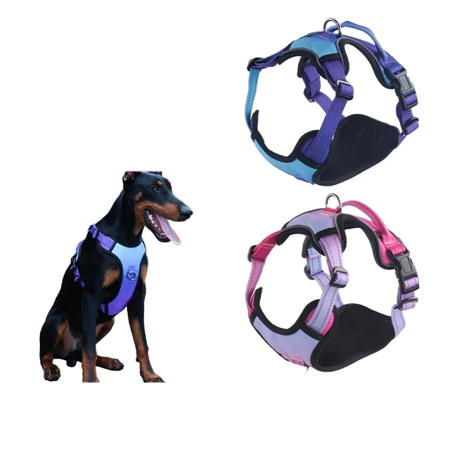 Luxury Reflective Breathable Pet Harness Customized Medium Large Dogs Solid Nylon Chest Back Leash Wholesale Small Pet