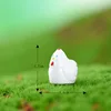 colorful The little white hen