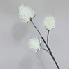 S-3859 large-milk white