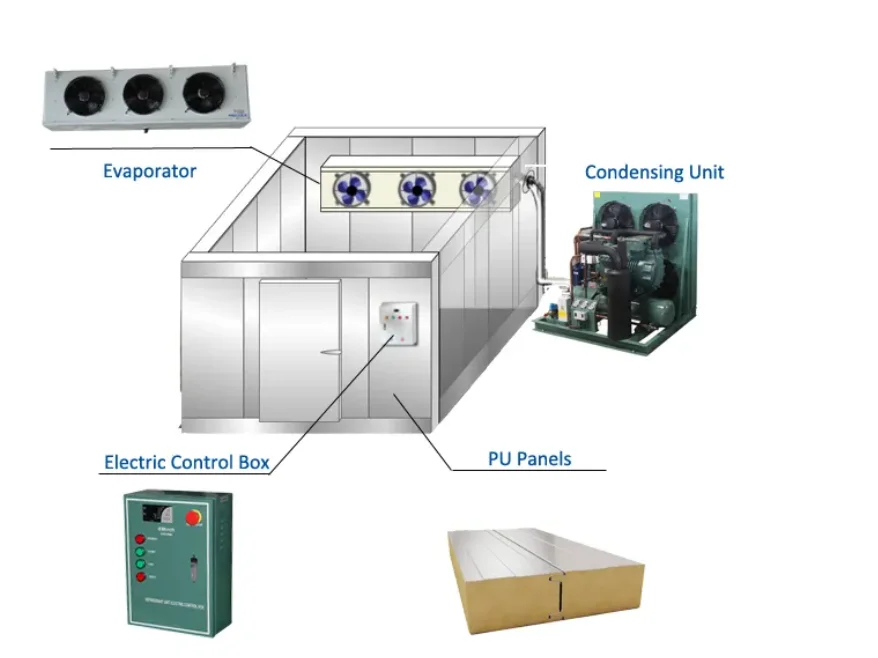 Fast Shipping Movable Cold Storage Room Frozen Food Container Cold Room Freezer Made in China