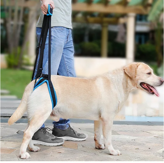 Full Body Support Rehabilitation Injury Dog Lift Harness Disabled Pet Leash