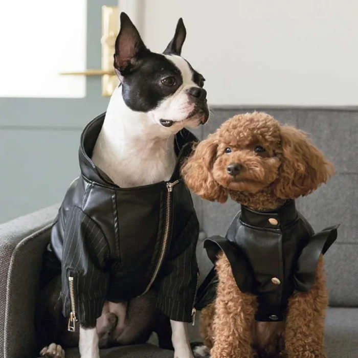 Fashion Spice Girl Biker Leather Pet Suit Dress Jacket Windbreaker Dog Clothing Coat