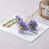 A purple branch