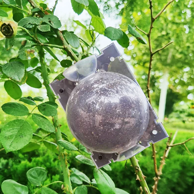 Small Rooting Air Layer Garden Accessories Plastic Plant Grafting Balls Root Growing Box For