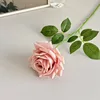 Muted pink