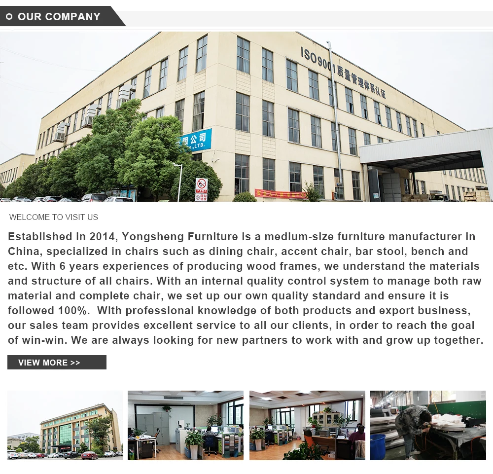 Luxury Chair High Density Foam Filling Stainless Steel Dining Room