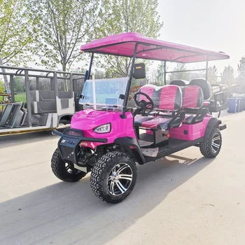 Qingdao Pink Lithium Ion Pdg Kk Ac Aluminum14 Seater Electric Golf Cart Limo 4 Seater Mmc Machinery Corpora