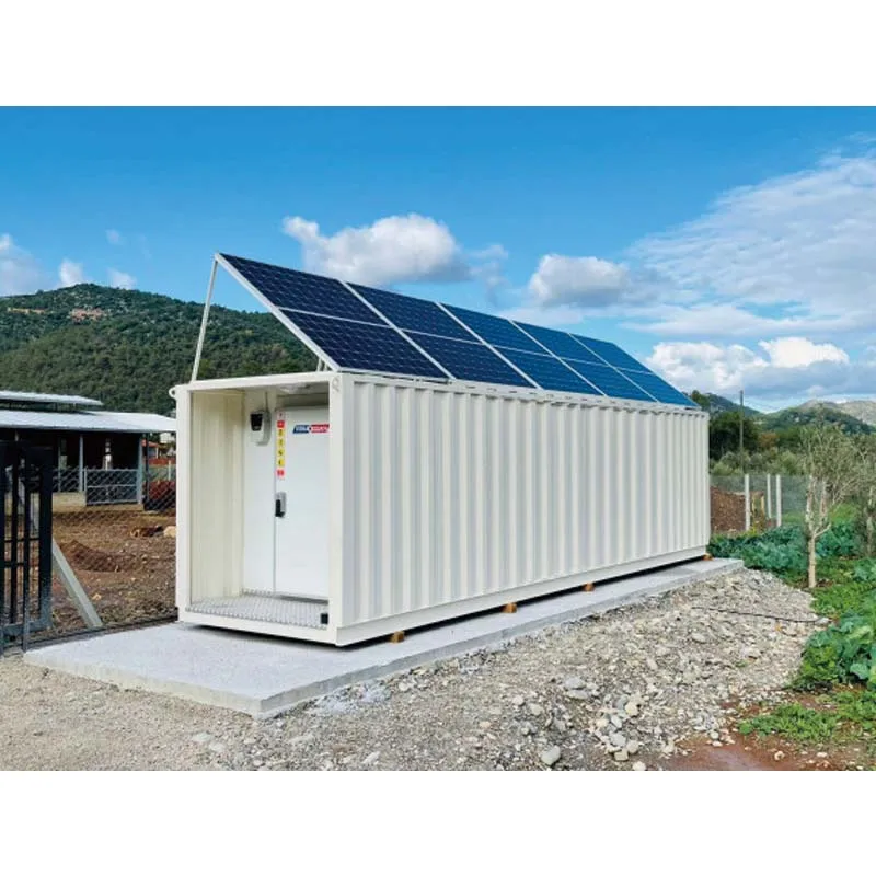 Solar Container Cold Storage  With Panel and Battery Preservation Machinery Cool Room Cold Storage