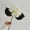 autumn white