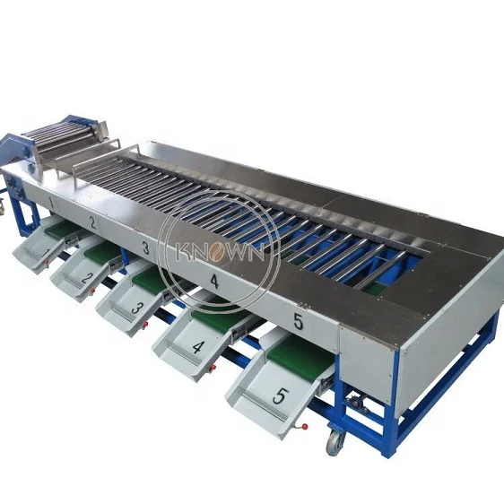 2024 Automatic Fruit Sorting Sorter Weight Size Potato Tomato Vegetable Grader Grading Machine