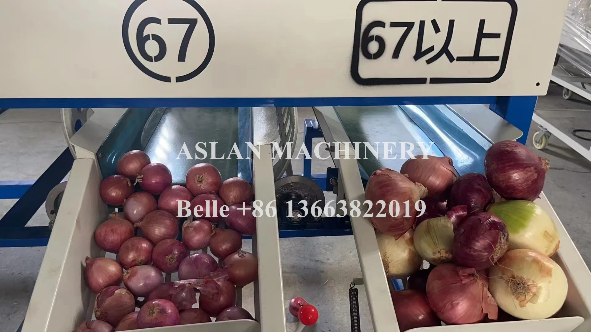Farm Onion Grading Machine Garlic Bulb Grader Sorting Machine Onion Drum Roller Classifier Machine
