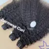 1pc birmano riccio