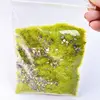 Verde Hierba Colorido - En Bolsa - 50g