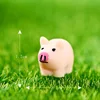 Mère cochon colorée