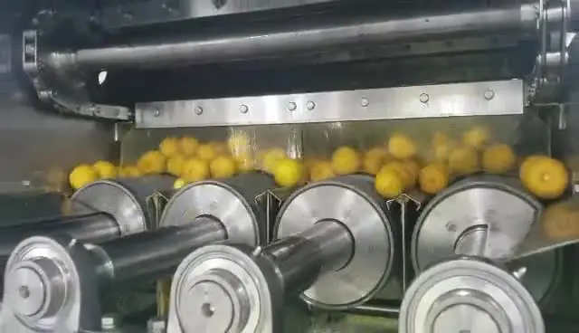 Best Price Orange Citrus Concentrate Processing Production Line Lemon Plant Juice Machine Manufacturer