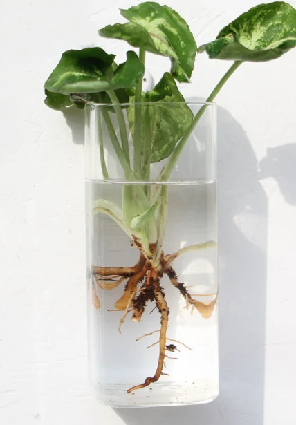 Petit Vase en Verre Coeur pour Cérémonie du Sable | Cérémonie du Sable