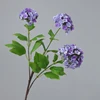 Viola chiaro