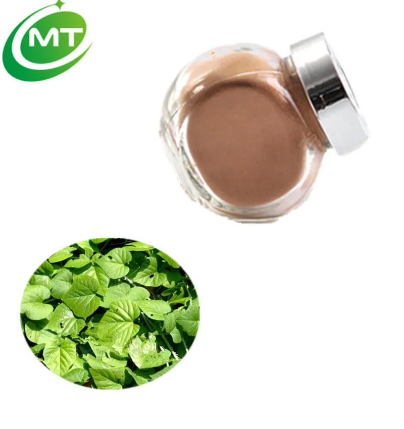 Высококачественный травяной порошок циссуса четырехугольного, органический экстракт циссуса четырехугольного