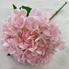 rosa suave