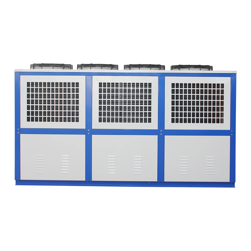 Condensing Unit, 220 V, 2*460w - detail 14