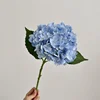 #4 light blue
