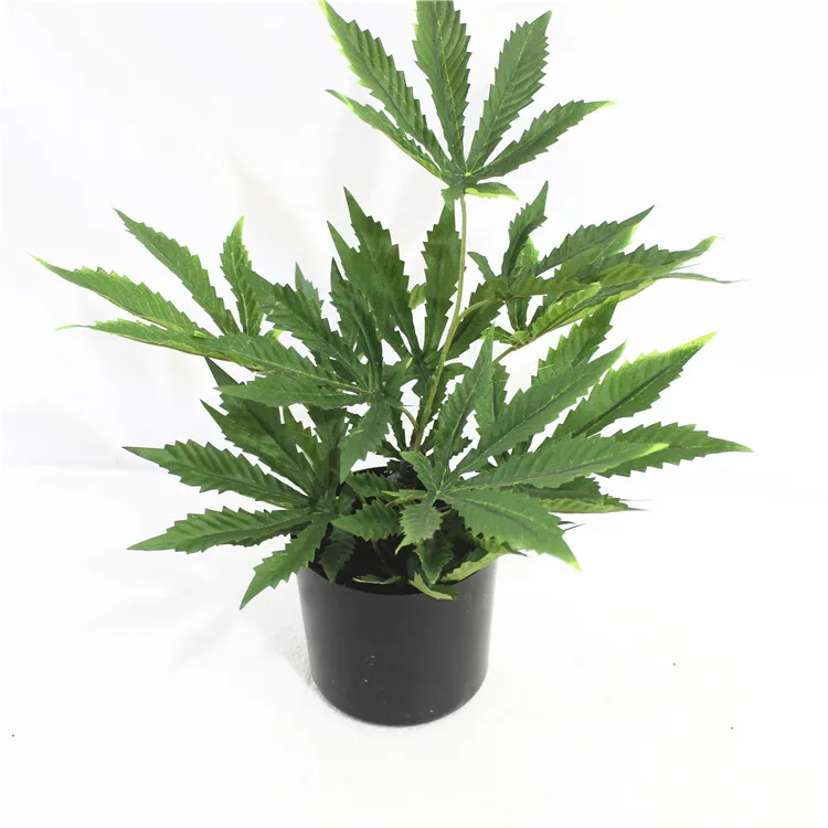 Wholesale Artificial Weed Plant Plastic Plant for Home Decor