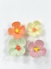 สีชมพู#5