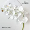 SKU04