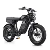 Black + 1 Battery(20Ah)