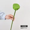 PU Medium Seed Pod