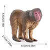 3609 macaco-424g