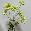 Nouveau 6 têtes vert