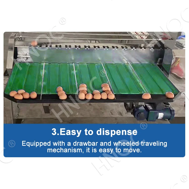 Small Scale Automatic Chicken Egg Weight Sorter Size Classify Grader Sort Egg Grade Machine by Weight