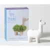 chia pet