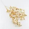 Oncidium 110cm