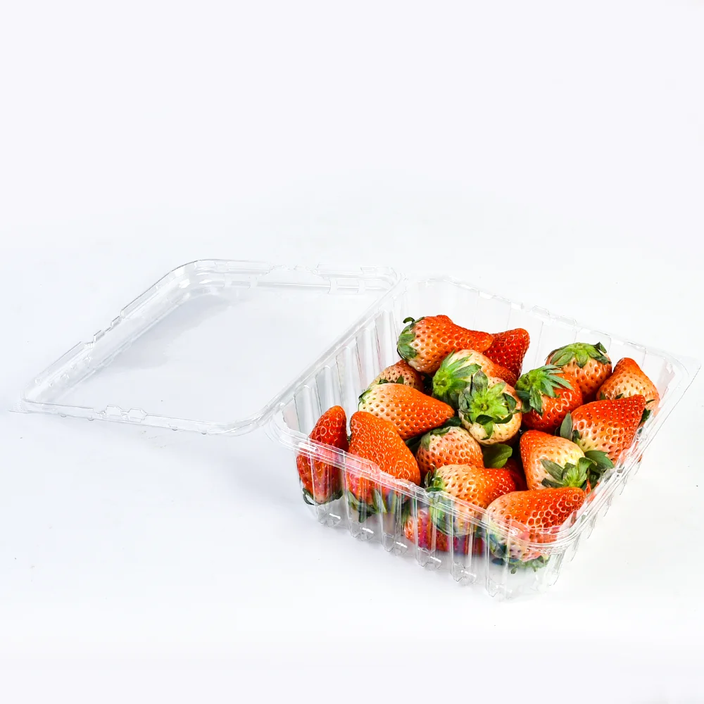 Factory 2LB Blueberry Packaging Recycled Plastic Fruit Packaging clear Box Fruit Berry Blueberry Clamshell Container with Holes