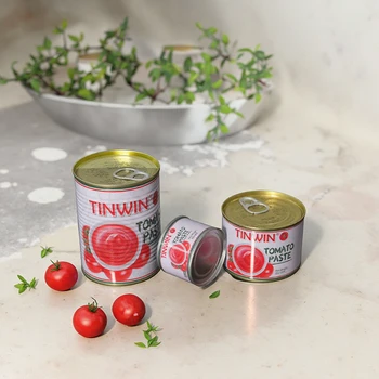 Tomato Paste in Sachet Bottle Delicious for Home Cooking Dining Hamburger Fries Fried Chicken Dip Packaged in Bag or Carton