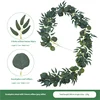 Eucalipto da 2 metri misto a 5 foglie grigio bianco