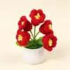 Lys rouge (5 têtes) petite plante en pot