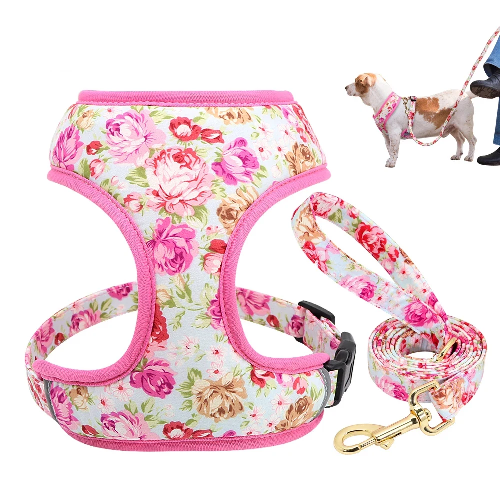 OEM Wholesale Pet Accessories Adjustable Walking Lead Soft Dog Harness And Leash Set manufacture