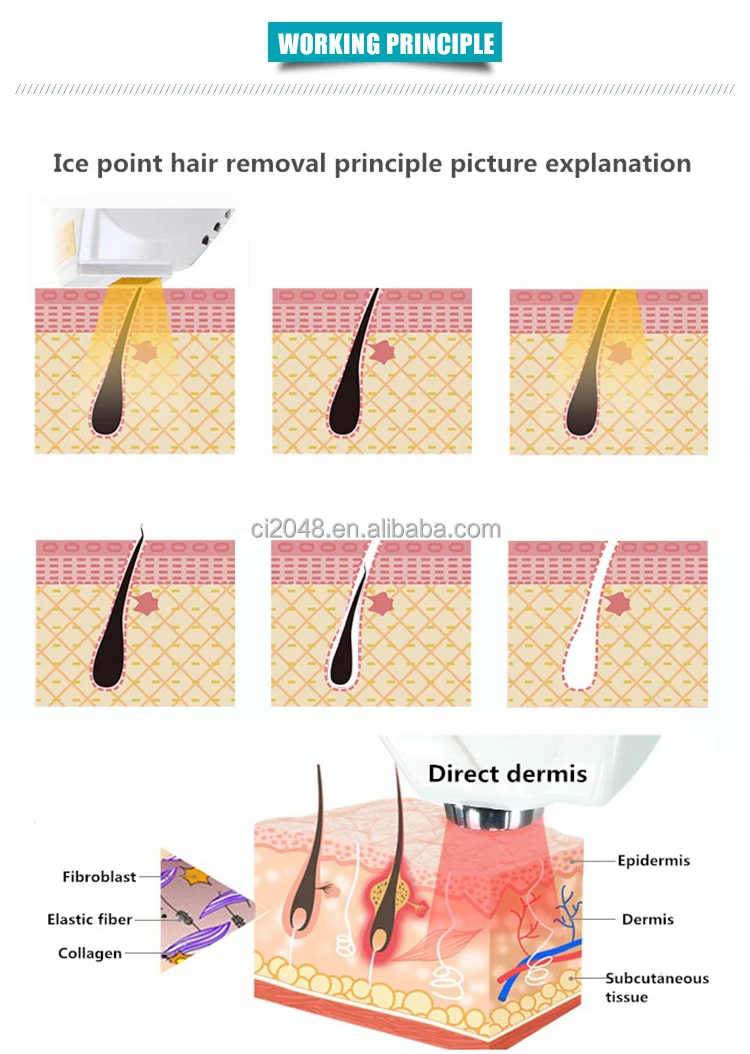 Adg New Design 808 Diode Laser 2 In 1 Picosecond Laser Tattoo Remove