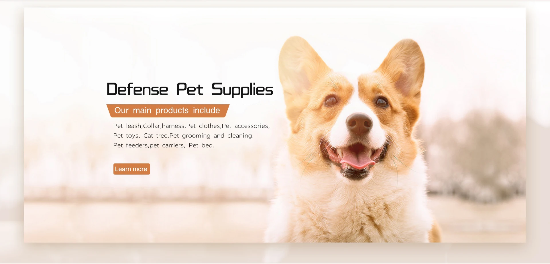 Wholesale Suction Cup Dog Toy Interactive Dog Chewing Teeth Cleaning