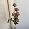 Grigio autunnale