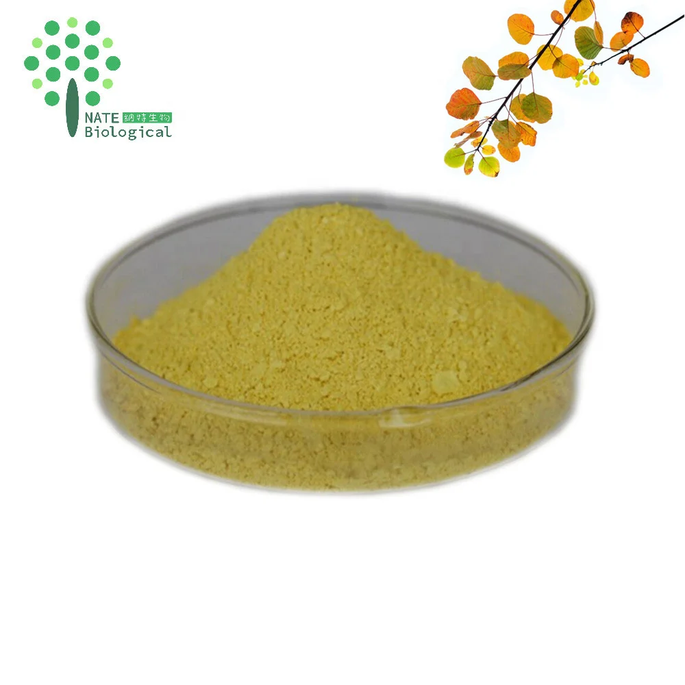 Lacquer Tree Extract Powder Fisetin 98% Powder